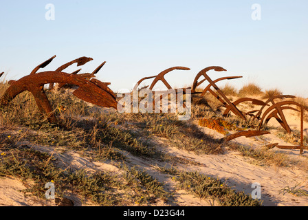 Anker Portugal. Algarve. Friedhof der Anker auf der Insel Tavira, Portugal Stockfoto