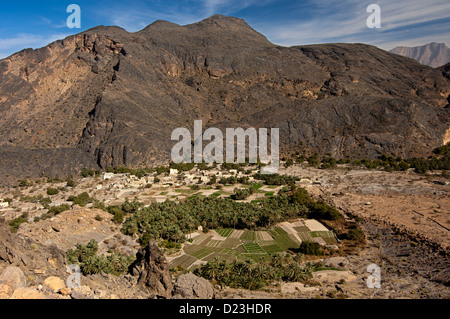 Die Oase Haat am Fuße des kargen Al Hajar-Gebirges, Sultanat von Oman Stockfoto