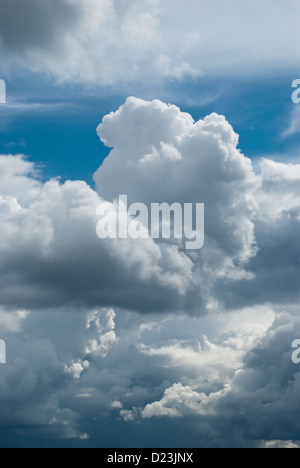 Gewitterwolke Geburt. Cumulus-Wolken fangen an, eine Gewitterwolke bilden Stockfoto