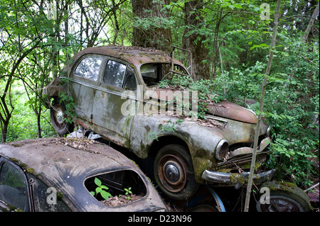 Kaufdorf, Schweiz, historische Auto Friedhof sowohl Stockfoto