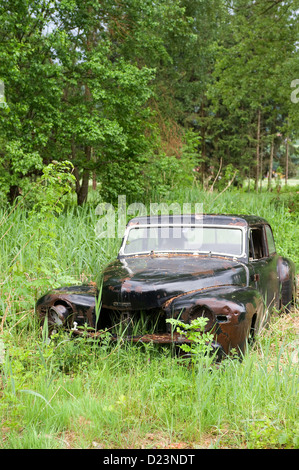 Kaufdorf, Schweiz, historische Auto Friedhof sowohl Stockfoto