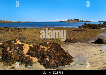 Geary's Beach Stadtpark, Vinalhaven Island, Maine, USA Stockfoto