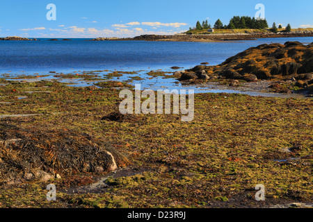 Geary's Beach Stadtpark, Vinalhaven Island, Maine, USA Stockfoto