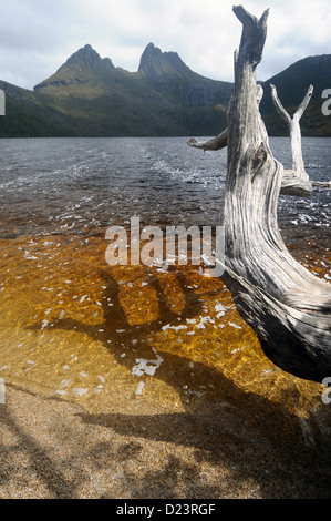 Dove Lake und Cradle Mountain, Cradle Mt-Lake St. Clair National Park, Tasmanien, Australien Stockfoto