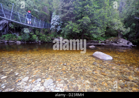 Wanderer auf Drehbrücke über den Franklin River, des Franzosen Cap Track, Wild Rivers National Park, Tasmanien, Australien Stockfoto