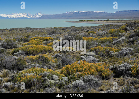 Lago Viedma und Anden, Patagonien, Argentinien Stockfoto