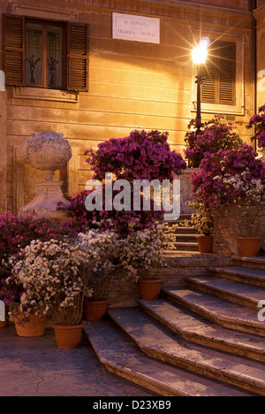 Rom, Italien, Blumen auf der spanischen Treppe Stockfoto