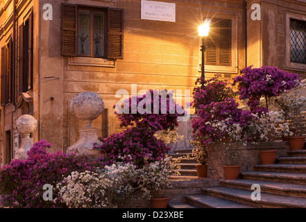 Rom, Italien, Blumen auf der spanischen Treppe Stockfoto
