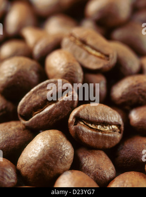 Nahaufnahme von Kaffeebohnen Stockfoto