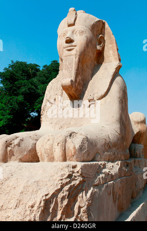 Alabaster Sphinx im Museum in Memphis, in der Nähe von Kairo, Ägypten. Stockfoto