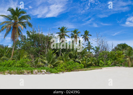 Cerf Island Stockfoto