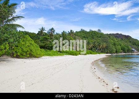 Cerf Island Stockfoto