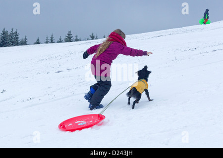 junge Mädchen, das ihr Hund ihre Schlitten zu ziehen bergauf Stockfoto