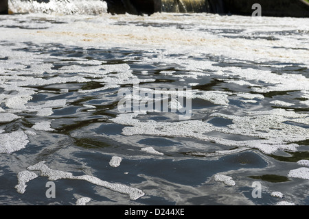 Schaum-Umweltverschmutzung - Wehr auf den Fluss Great Ouse, Eaton Socon, England UK. Stockfoto