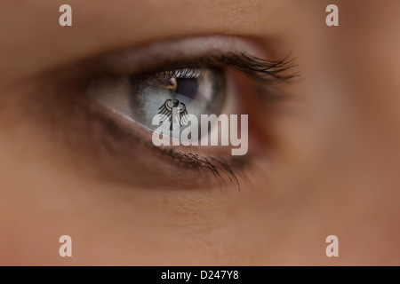 Frau auf der Suche im Internet-Seite mit den deutschen Bundesadler. Symbol: Geheimdienst, Geheimdienst, Cyber-Kriminalität Stockfoto