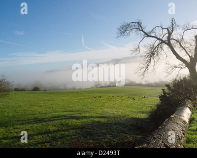 Menaistraße Anglesey, Nordwales Blick hinunter auf Nebel liegen entlang des Wassers an einem kalten Wintertag atmosphärische Bild Stockfoto