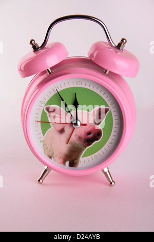 Rosa, Runde analoge Wecker mit Schweine-Bild auf rosa Hintergrund. Stockfoto