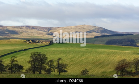 Bauernhof In den Cheviot Hills, Northumberland, UK. Stockfoto