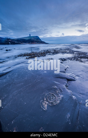 Kimmeridge Bay, Dorset, England Stockfoto