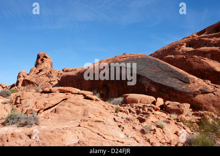 Fels, große Petroglyph auf Mäuse Tank Trail Tal des Feuers Staatspark Nevada, usa Stockfoto