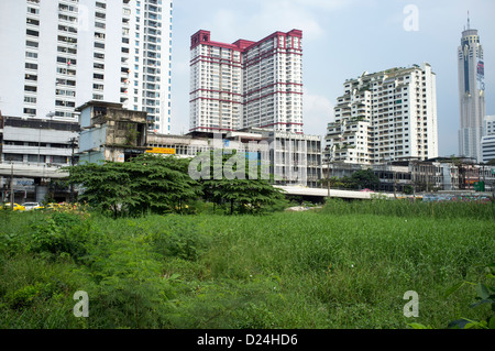 Freifläche oder überwachsen Baulücken unter Bürogebäude in der Innenstadt von Bangkok Stockfoto