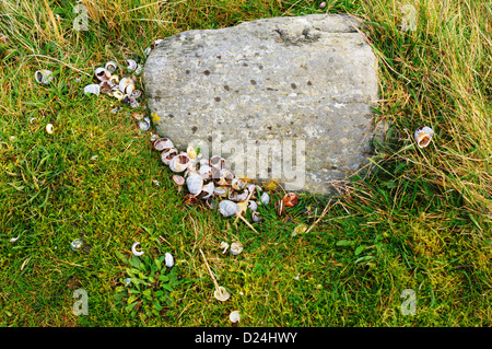 Soor Stein - John Gollop Stockfoto