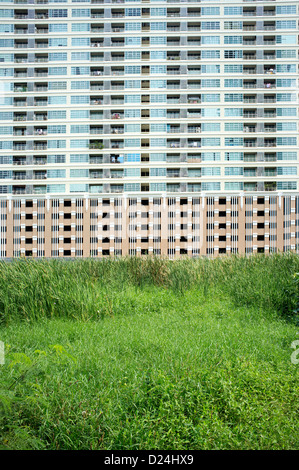 Freifläche oder überwachsen Baulücken neben Appartementhaus Gebäude im Zentrum von Bangkok Stockfoto