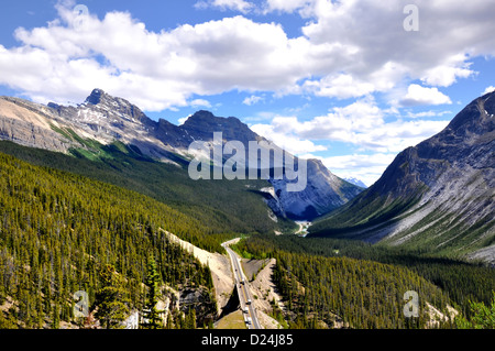 Panorama der Icefields Parkway zwischen den kanadischen Rocky Mountains Stockfoto