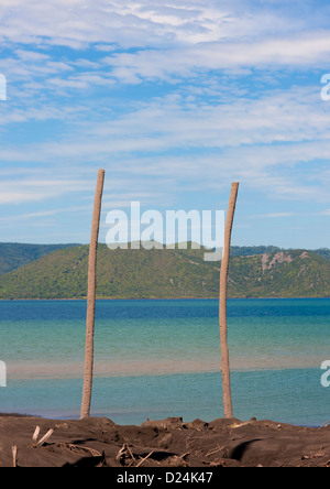 Tote Bäume nach einem Vulkanausbruch In Tavurvur Vulkan, Rabaul, neue britische Insel, Papua Neu Guinea Stockfoto