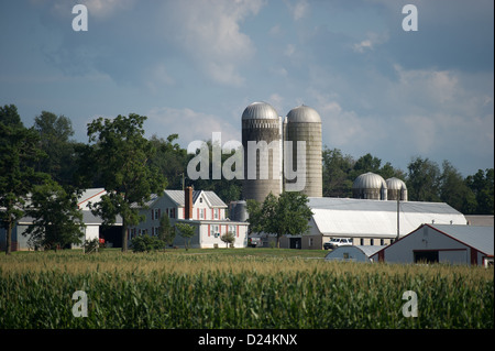 Mais-Anbau vor einem Bauernhaus, zwei Silos und eine Scheune in Maryland Stockfoto