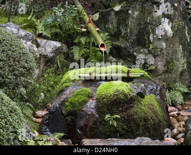 Ein mit Moos bedeckter Stein-Tsukubai oder ein Wasserbecken für rituelle Waschungen in den 20c Gärten des Adachi Museum of Art, Matsue, Japan Stockfoto