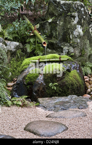 Ein mit Moos bedeckter Stein-Tsukubai oder ein Wasserbecken für rituelle Waschungen in den 20c Gärten des Adachi Museum of Art, Matsue, Japan Stockfoto