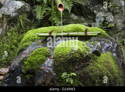 Ein mit Moos bedeckter Stein-Tsukubai oder ein Wasserbecken für rituelle Waschungen in den 20c Gärten des Adachi Museum of Art, Matsue, Japan Stockfoto