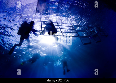 Scubadivers unter Wasser in der Silhouette Klettern wieder auf eine Tauchsafari Tauchboot nach einen Scuba tauchen in Thailand. Stockfoto