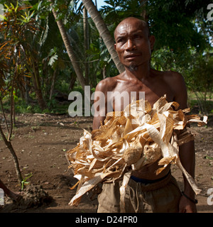 Mann hält getrocknete Bananenblätter als lokale Geld, Trobriand Insel, Papua New Guinea Stockfoto
