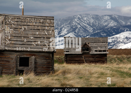 Berge und verwittert alte Scheune Rocky Mountains Montana Gewitterwolke Stockfoto