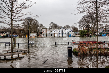 Ansicht von Twickenham Rowing Club Eel Pie Insel bei Flut - Twickenham, Großbritannien Stockfoto