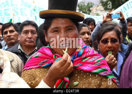 LA PAZ, Bolivien, 14. Januar. Kokabauern kauen Blätter zu Bolivien feiern wieder 1961 UNO Single Convention on Narcotic Drugs. Stockfoto