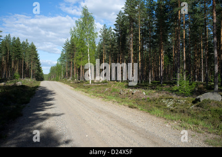 Leere Schotterstraße im Taiga-Wald, Finnland Stockfoto