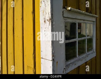 Abblätternde Farbe und Fenster auf einem alten Schuppen am Nusfjord auf den Lofoten, das arktische Norwegen Stockfoto