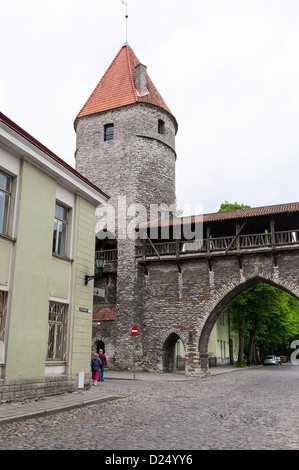 Tallinn untere Stadtmauer in der Altstadt von Tallinn in Estland Stockfoto