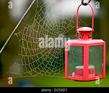 Tau auf Spinnennetz Stockfoto