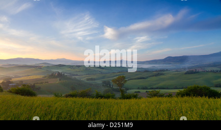 Morgennebel in Val d ' Orcia in der Nähe von San Quirico, Toskana, Italien Stockfoto