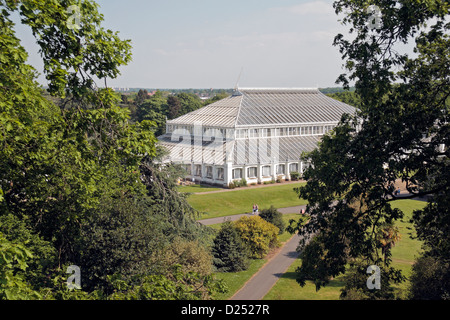 Die gemäßigten Haus gesehen von der Rhizotron und Xstrata Treetop Walkway, Royal Botanic Gardens, Kew, England. Stockfoto
