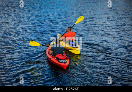 Zwei Männer, Kajakfahren auf dem Myakka River in Florida Stockfoto