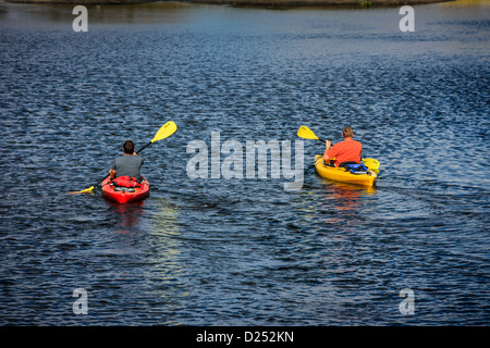 Zwei Männer, Kajakfahren auf dem Myakka River in Florida Stockfoto