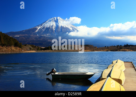 Fuji und See Tanuki in Fujinomiya, Präfektur Shizuoka Stockfoto