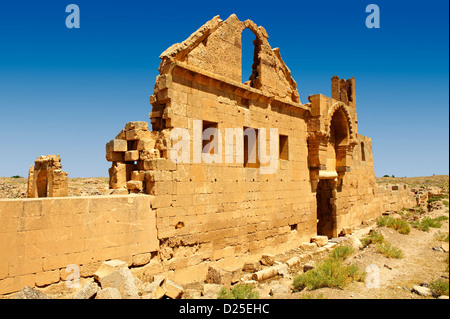 Bilder von der arabischen astrologische Aussichtsturm des 8. Jahrhunderts Universität von Harran, Süd-west-Anatolien, Türkei. Stockfoto