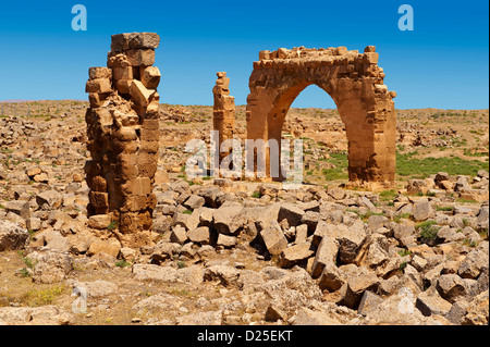 Bilder von der arabischen astrologische Aussichtsturm des 8. Jahrhunderts Universität von Harran, Süd-west-Anatolien, Türkei. Stockfoto