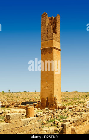 Bilder von der arabischen astrologische Aussichtsturm des 8. Jahrhunderts Universität von Harran, Süd-west-Anatolien, Türkei. Stockfoto